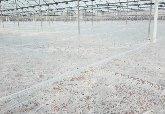 El plástico Azul de Politiv, Othar, para la desinfección de suelos agrícolas