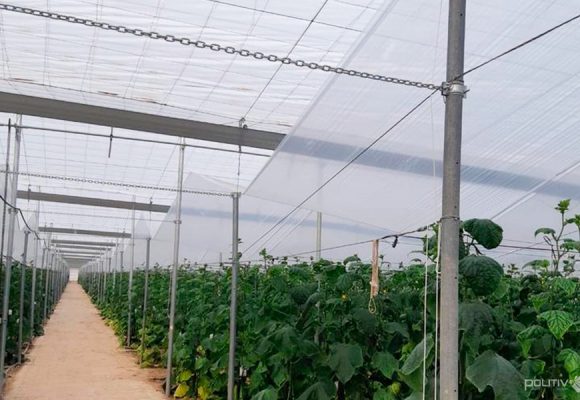 Alternativas de plástico para doble techo para perder la mínima cantidad de luz