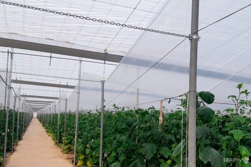 Alternativas de plástico para doble techo para perder la mínima cantidad de luz Alternativas de plástico para doble techo para perder la mínima cantidad de luz