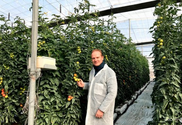 El desarrollo de nuevas cubiertas es clave para reducir costes e incrementar la productividad