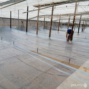 ¿Es recomendable reutilizar la cubierta de plástico de solarización?