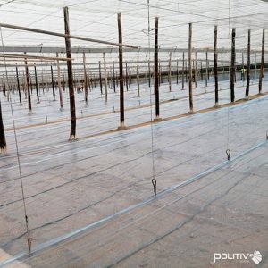 ¿Se nota la diferencia si desinfecto con un plástico de 60 galgas o de 100 galgas?