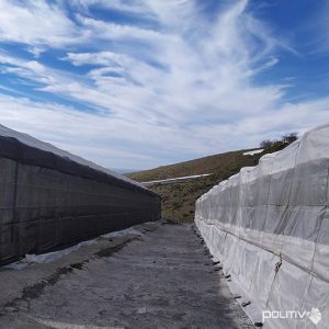 ¿Qué mallas puedo utilizar para evitar tener problemas con la mosca blanca?