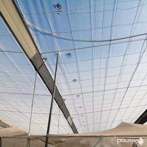 ¿Por qué a veces el plástico “pierde la goma” cuando toca la estructura del invernadero? ¿Cómo puedo evitarlo?