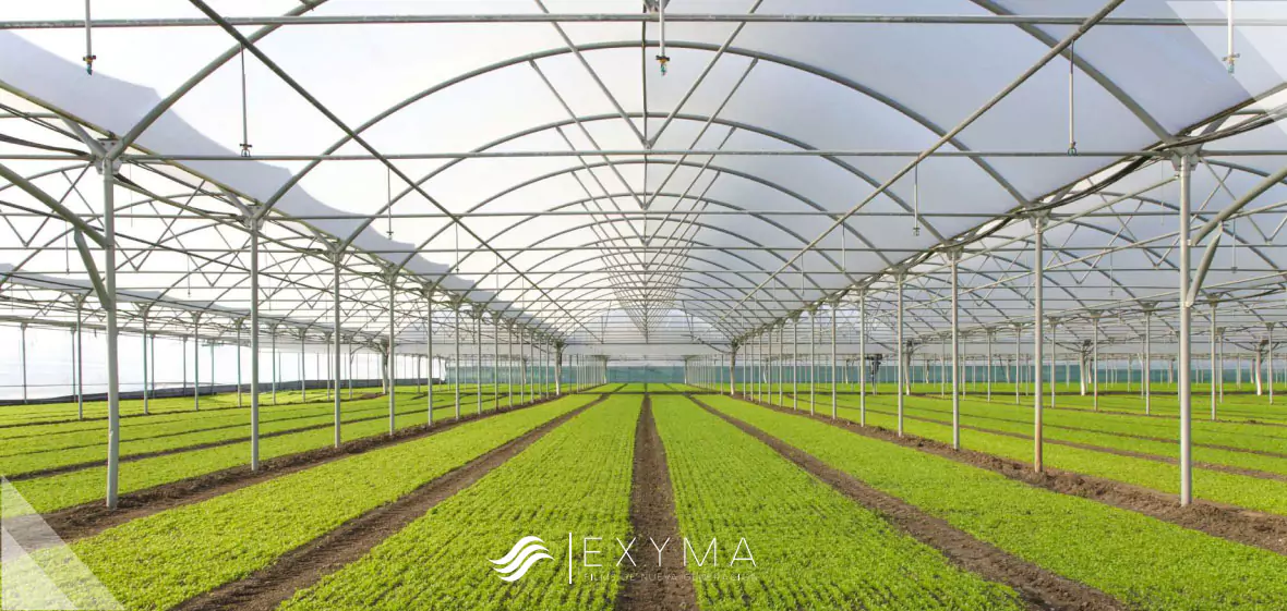 Exyma
