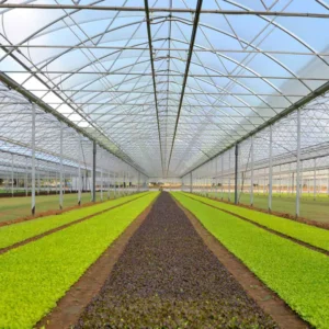Cumplimos 40 años… y lo celebramos con un gran lanzamiento en InfoAgro Exhibition 2025