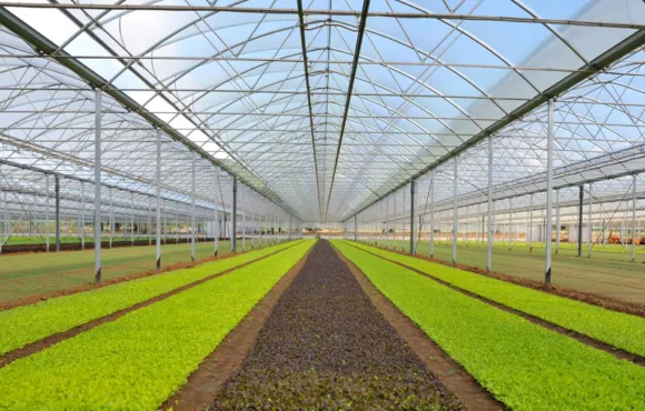 Cumplimos 40 años… y lo celebramos con un gran lanzamiento en InfoAgro Exhibition 2025
