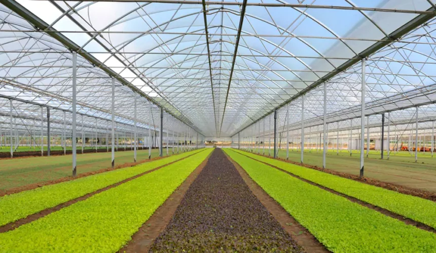 Cumplimos 40 años… y lo celebramos con un gran lanzamiento en InfoAgro Exhibition 2025 Cumplimos 40 años… y lo celebramos con un gran lanzamiento en InfoAgro Exhibition 2025