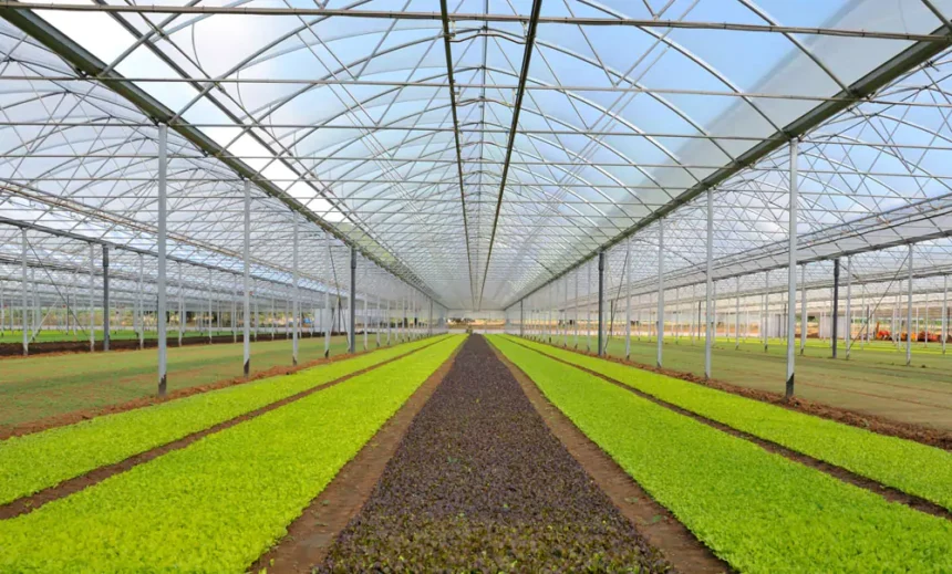 Cumplimos 40 años… y lo celebramos con un gran lanzamiento en InfoAgro Exhibition 2025